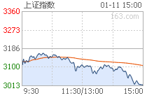 滬指重挫5%險(xiǎn)守3000點(diǎn) 兩市逾1200股跌停